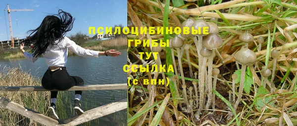 метамфетамин Верея