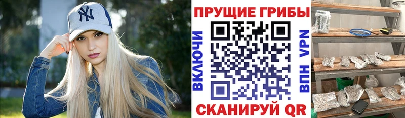 Галлюциногенные грибы Magic Shrooms  Саранск 